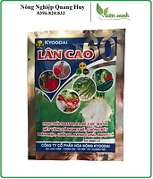 Phân bón Siêu Lân Cao dùng cho hoa hồng (kích thích ra hoa đồng loạt)
